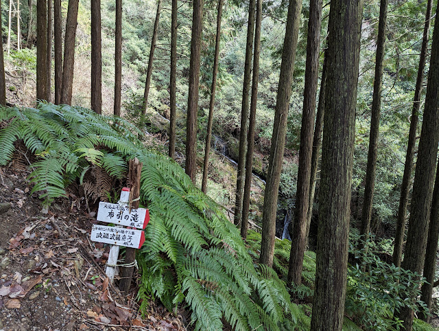 布引の滝です。写真では伝わりにくいですが、斜めに流れていくきれいな滝でした。