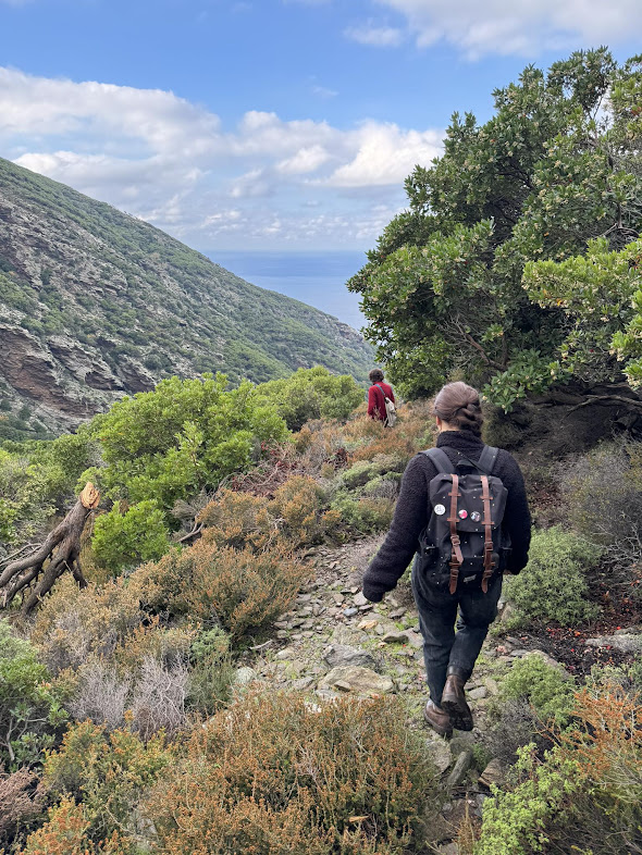 Κατηφορίζοντας ανάμεσα στις ανθισμένες κουμαριές στο μονοπάτι Μονοκάμπι - Αύλακας.