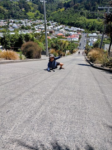 Baldwin Street The STeepest Street In The World