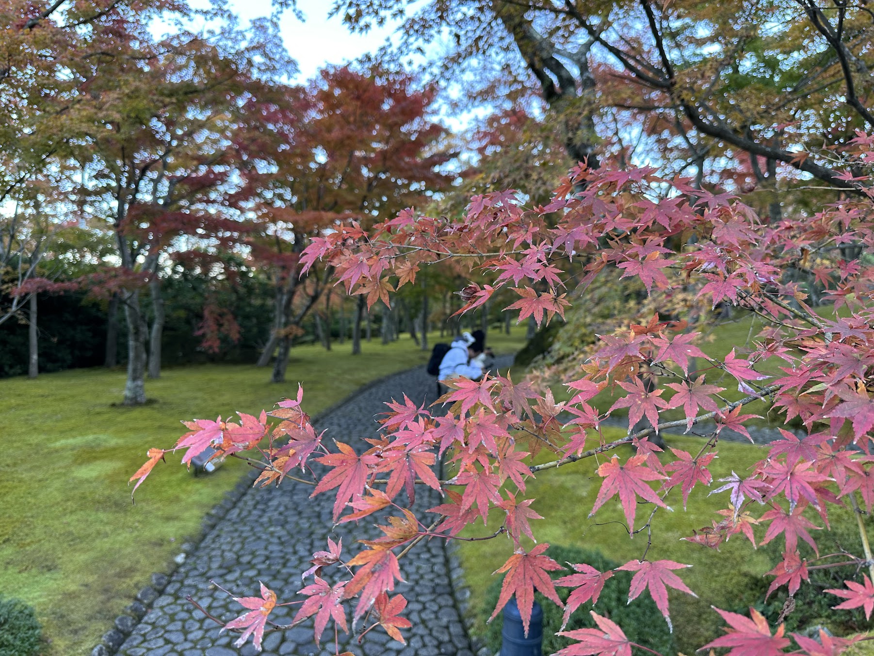 【四處遊盪】2023東京、箱根秋之旅 DAY 3-2~箱根美