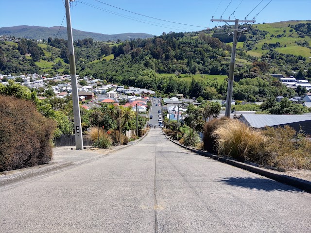 Baldwin Street The STeepest Street In The World