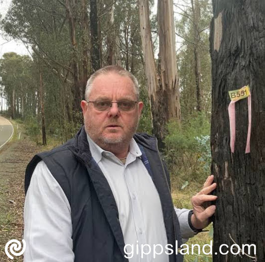 Nationals State MP, Tim Bull, is calling for the removal of identified hazardous trees along Gelantipy Road