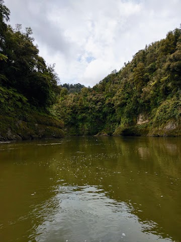 Whanganui National Park