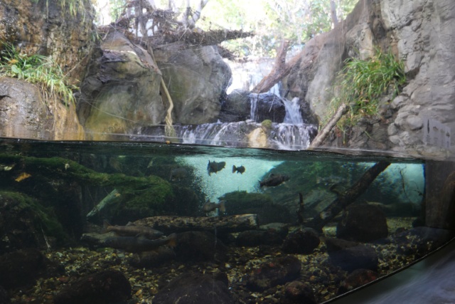 葛西臨海水族園