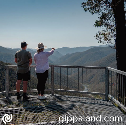 Gelantipy Rd, W Tree Falls, Tulloch Ard Gorge Walk. Waterfall beauty, forest trek, panoramic views, wildlife spotting - essential for northern journey