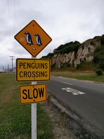 Oamaru Penguin Crossing Sign