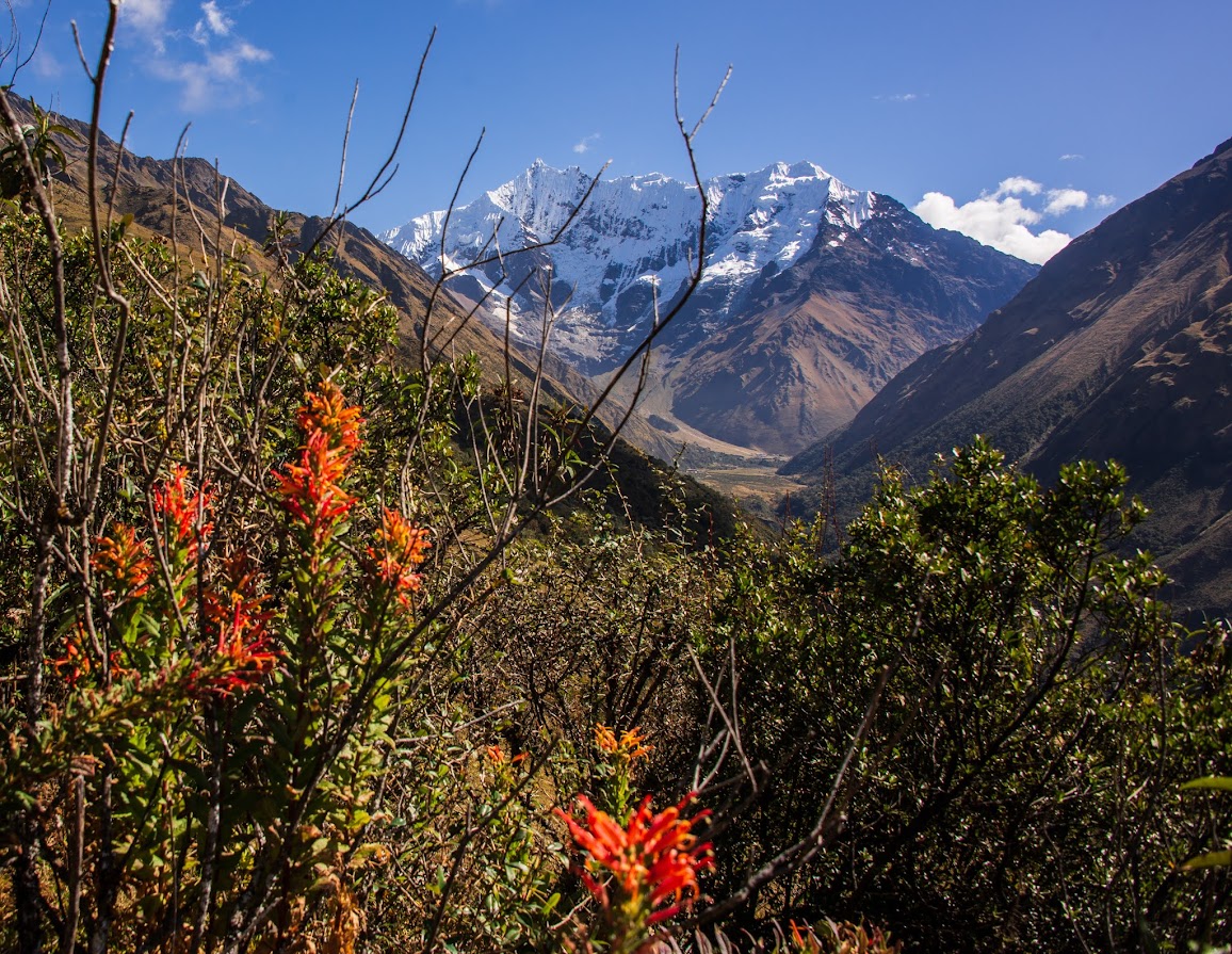 Salcantay Trek + Перуанская Амазонка, май-июнь 2022.