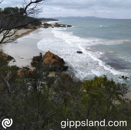 Betka Beach offers a diverse natural playground: surf, rocks, fishing, and river access, with picnic spots and wildlife