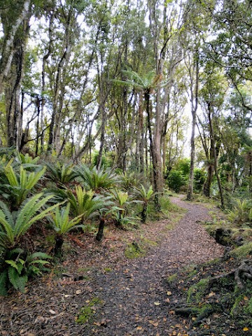 Rakiura Track Stewart Island Great Walk