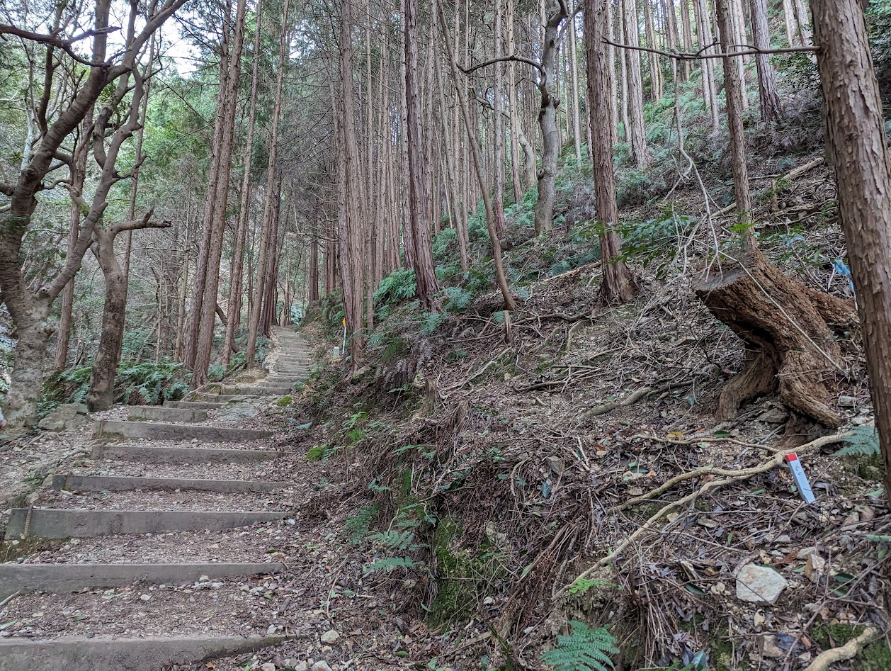 登山口が整備されて綺麗です。