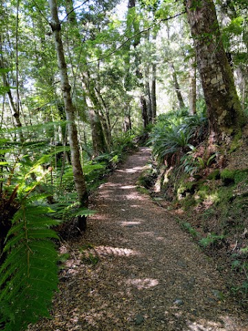 Kepler Track Fiordland National Park