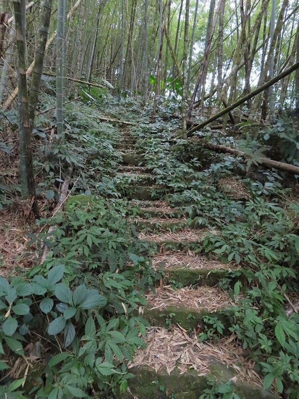 2022_嘉義～水水古道 走 大湖尖山 Ｏ型**