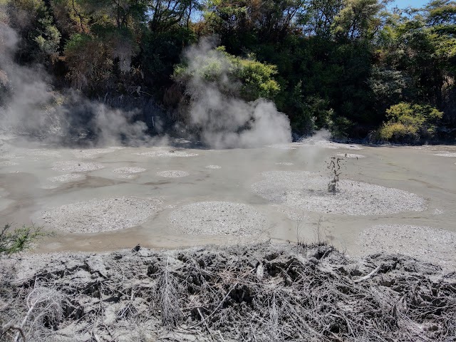 Waiotapu Mud Pool