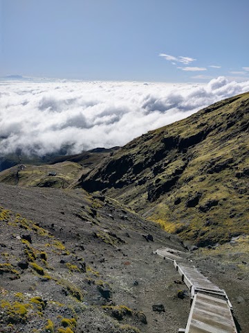 Mount Taranaki Summit Track stairs