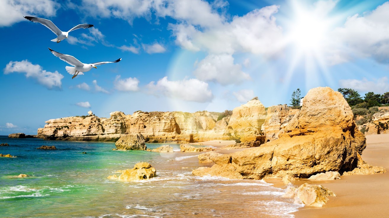 Seagulls flying over a sandy Algarve beach near Faro