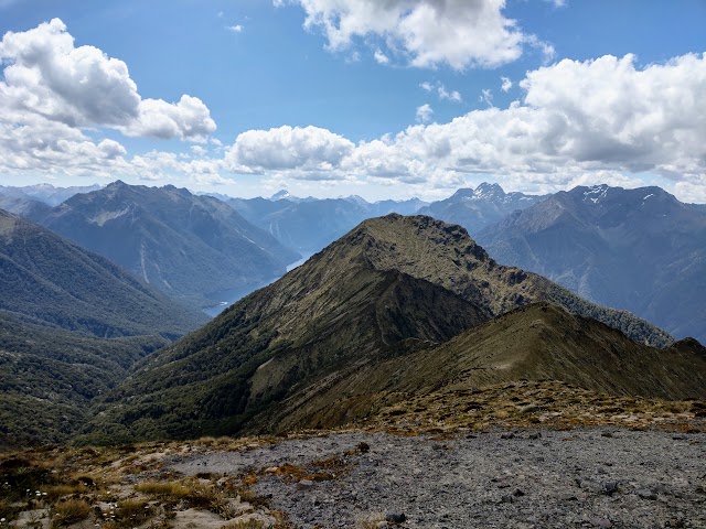 Kepler Track Fiordland National Park