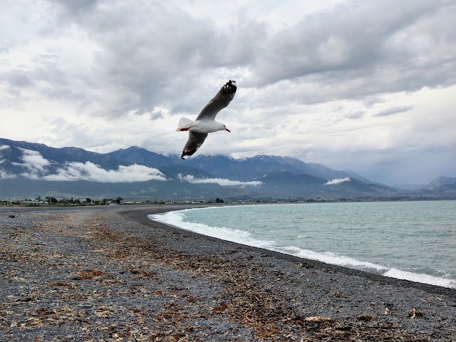 Kaikoura beach