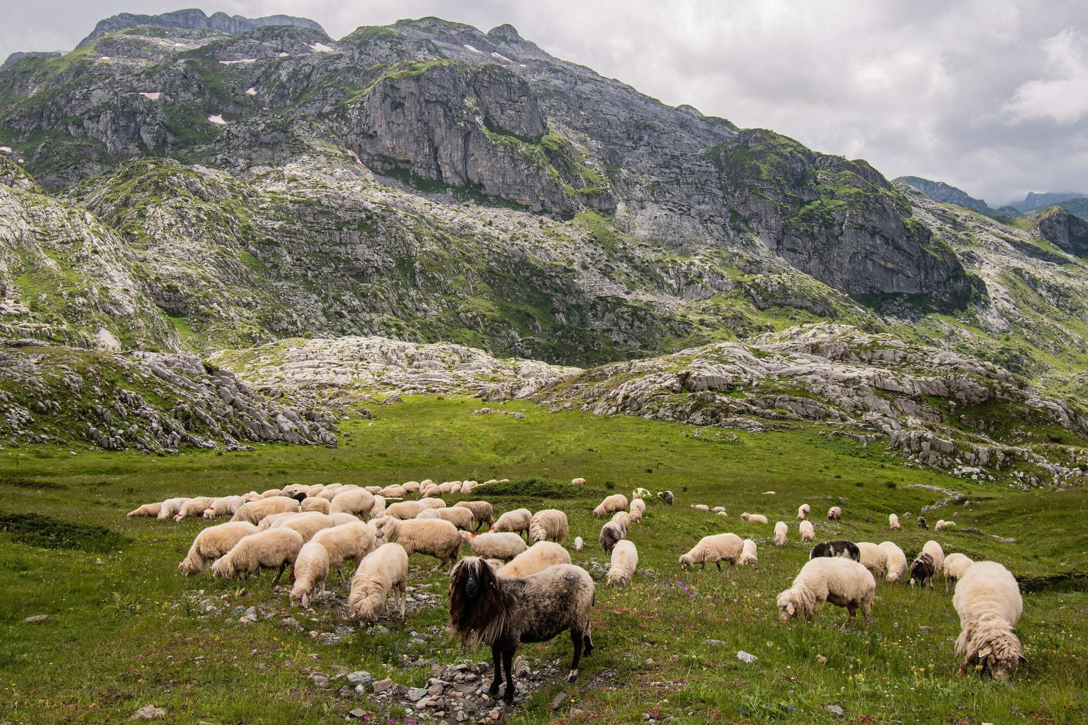 wandelen-balkan