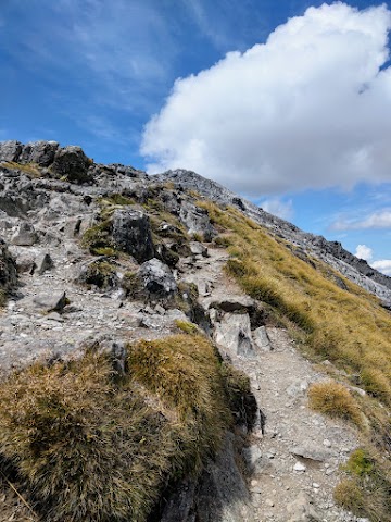 Kepler Track Mount Luxmore Summit