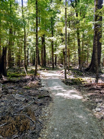 Lake Sylvan Track