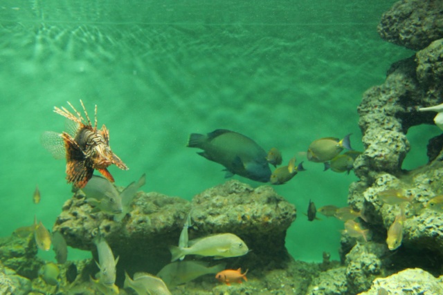 葛西臨海水族園