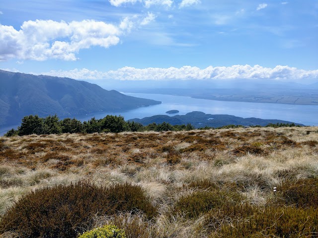 Kepler Track Te Anau Basin