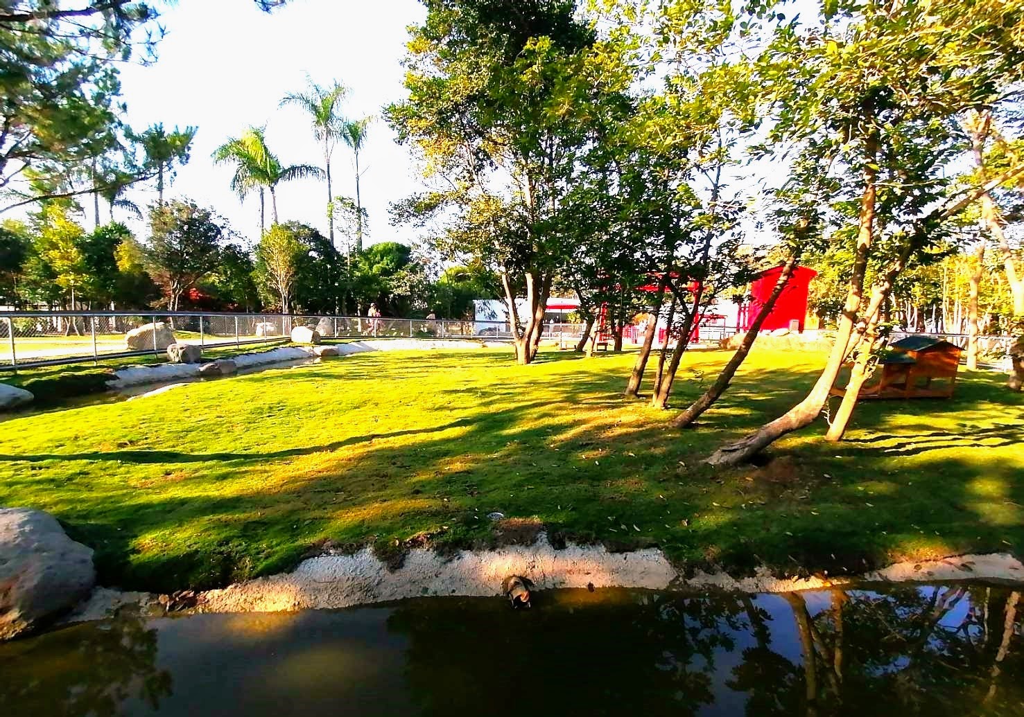 環保阿嬤欣賞澄霖沉香味道***森林館心型池塘種滿的落羽松美景