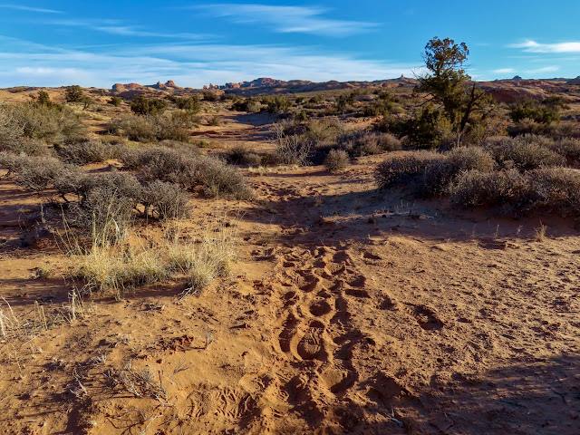 Footprints in the sand