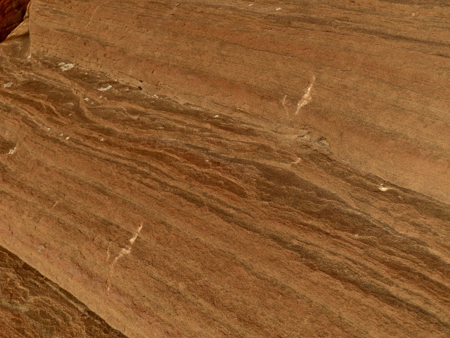 Deer hoofprints on the sandstone