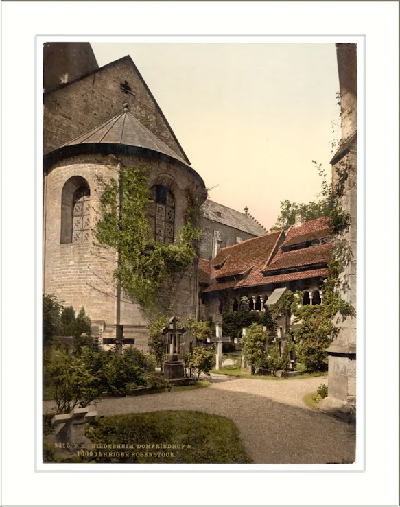 A rosa milenar da Catedral de Hildesheim