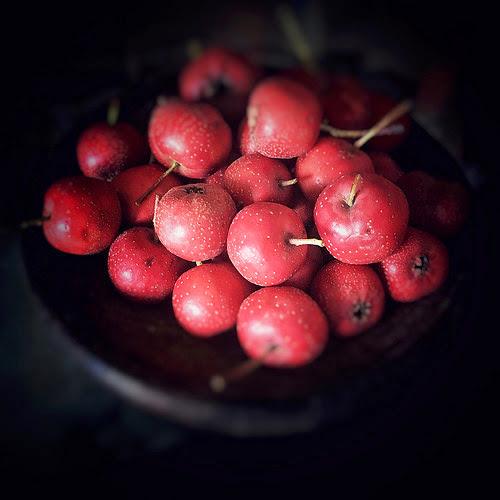 Chinese Hawthorn, Fruit, chinese fruit, mountain hawthorn, chinese haw, chinese hawberry, Crataegus pinnatifida,  山楂, 大紅果