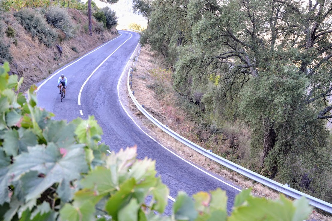Lone road cyclist on the N2 route in Portugal