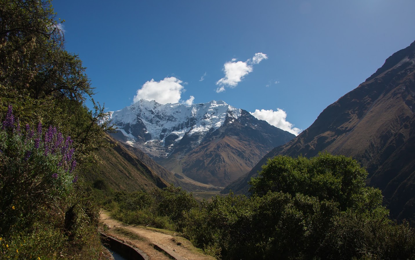 Salcantay Trek + Перуанская Амазонка, май-июнь 2022.