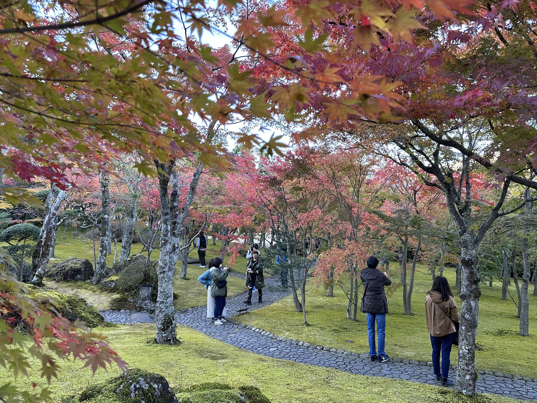 【四處遊盪】2023東京、箱根秋之旅 DAY 3-2~箱根美