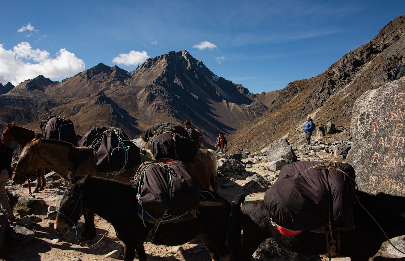 Salcantay Trek + Перуанская Амазонка, май-июнь 2022.