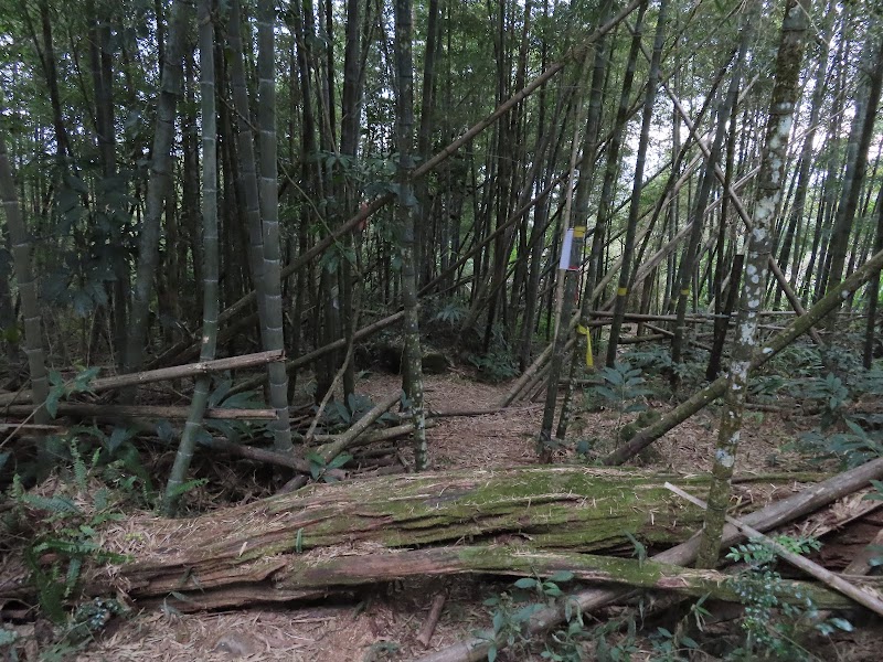 2022_嘉義～水水古道 走 大湖尖山 Ｏ型**