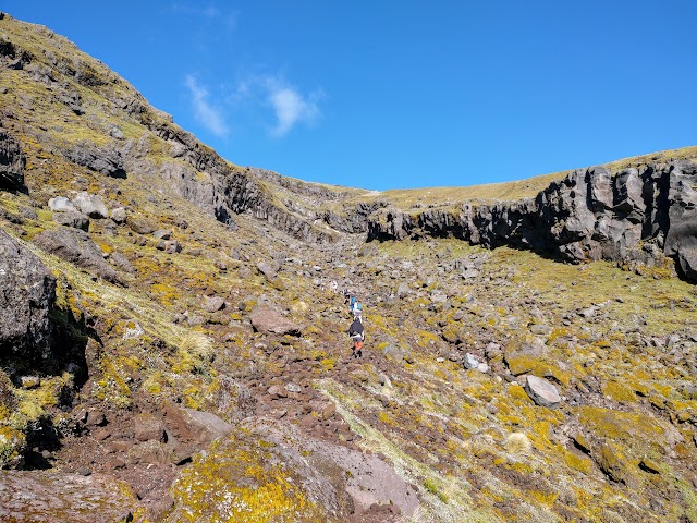 Mount Taranaki Summit Track Hongi Valley gully