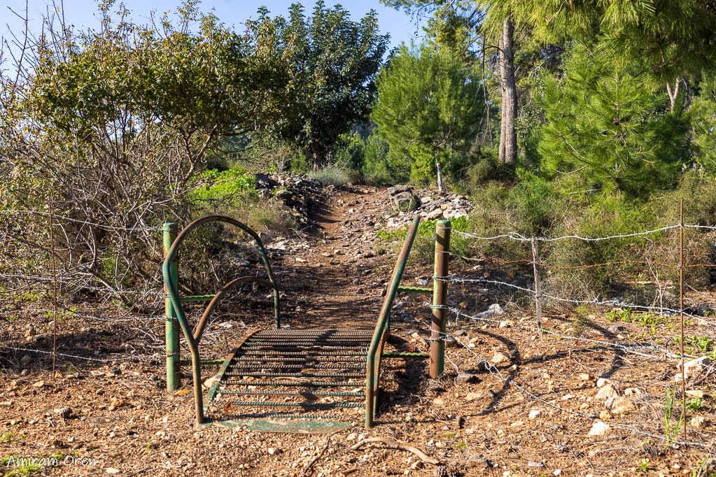 מעבר בסינגל