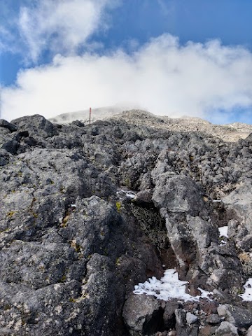 Mount Taranaki Summit Track The Lizard