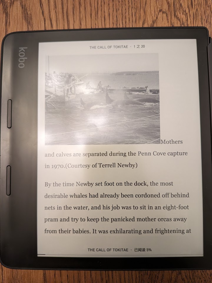 Article rendered on Kobo Sage from url2epub with image downscaled to 1024x1024