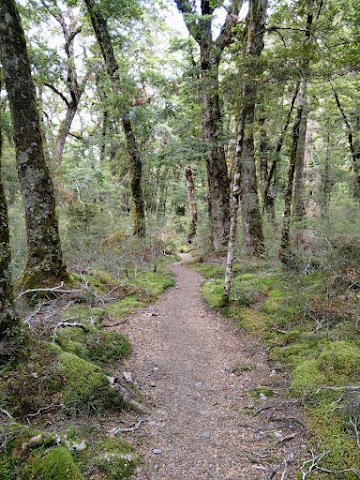 Kepler Track Fiordland National Park