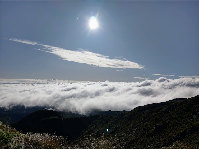 sea of cloud carpet