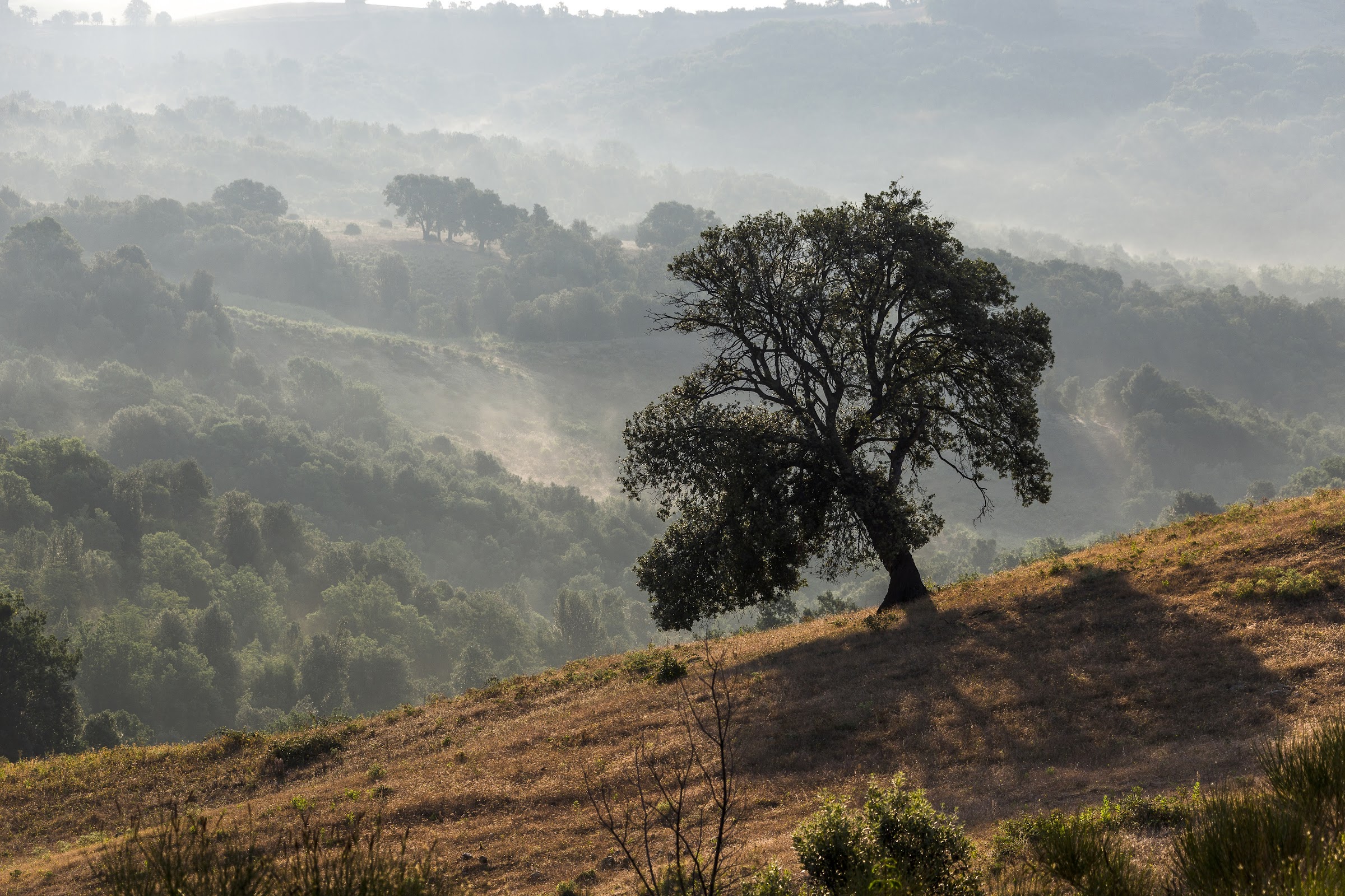 La Maremma Toscana offre scenari mozzafiato, da ogni angolo la si guardi