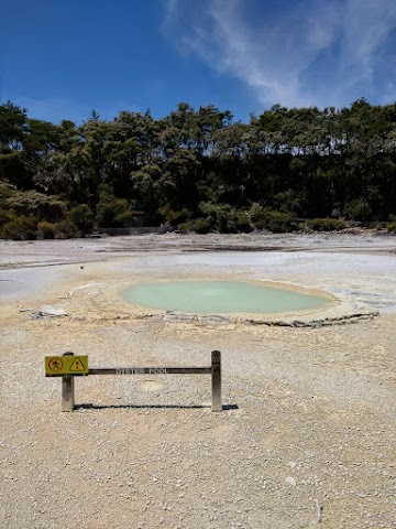 Oyster Pool