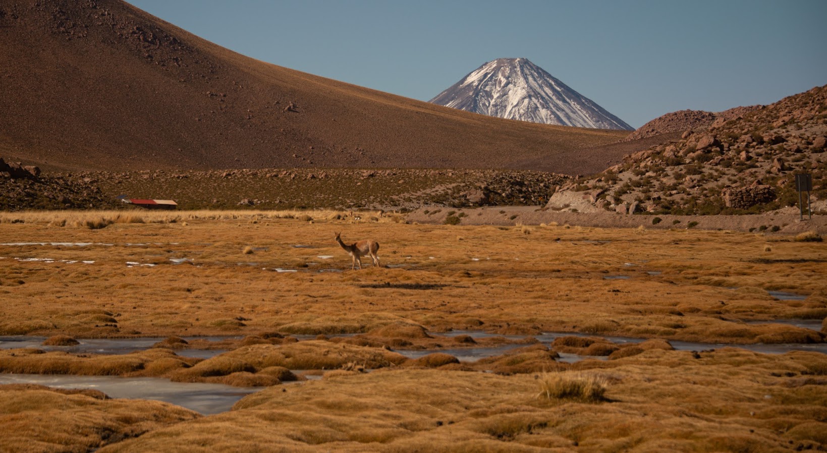 Пустыня Атакама, вырваться на несколько дней в прекрасную Wilderness