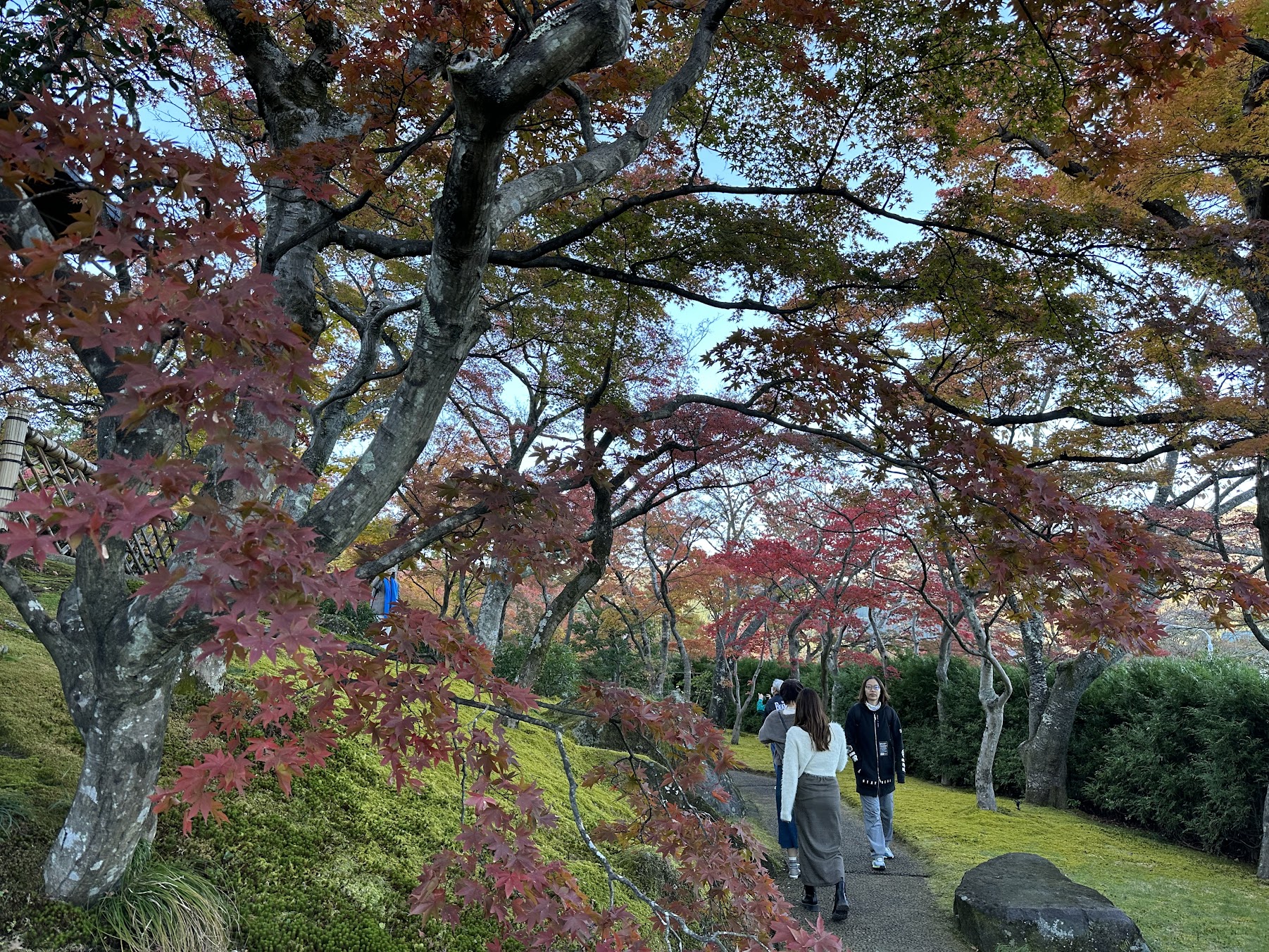 【四處遊盪】2023東京、箱根秋之旅 DAY 3-2~箱根美