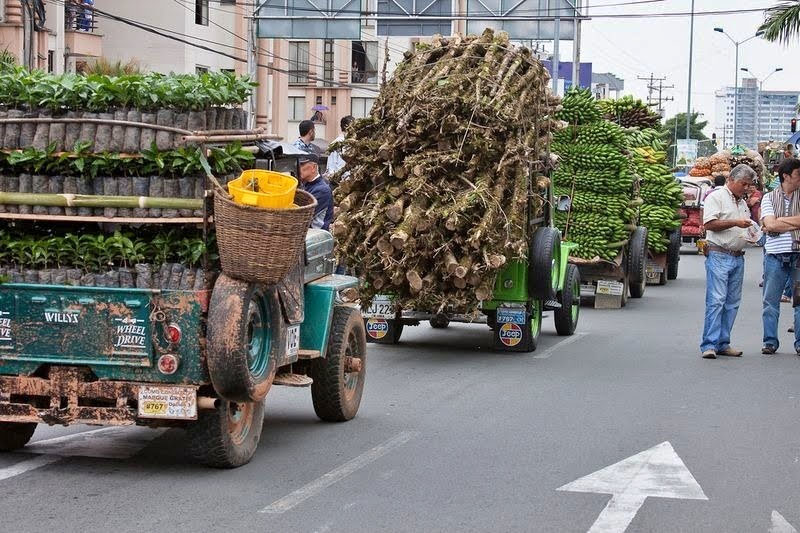 Yipao, as mulas mecânicas colombianas