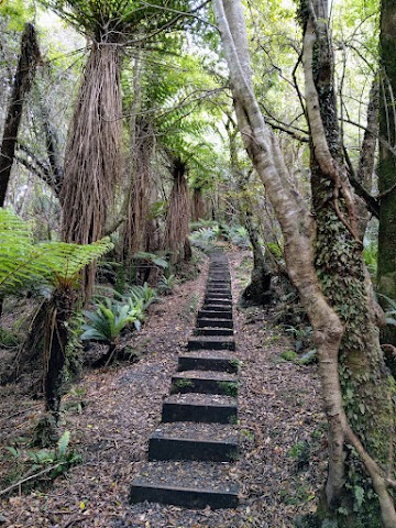 Rakiura National Park Stewart Island