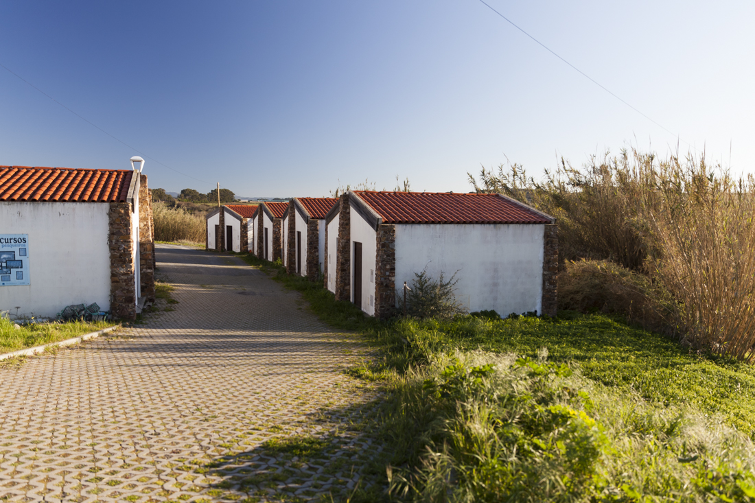 Треккинг на юге Португалии в январе: Rota Vicentina и Fishermen's trail (много фото)