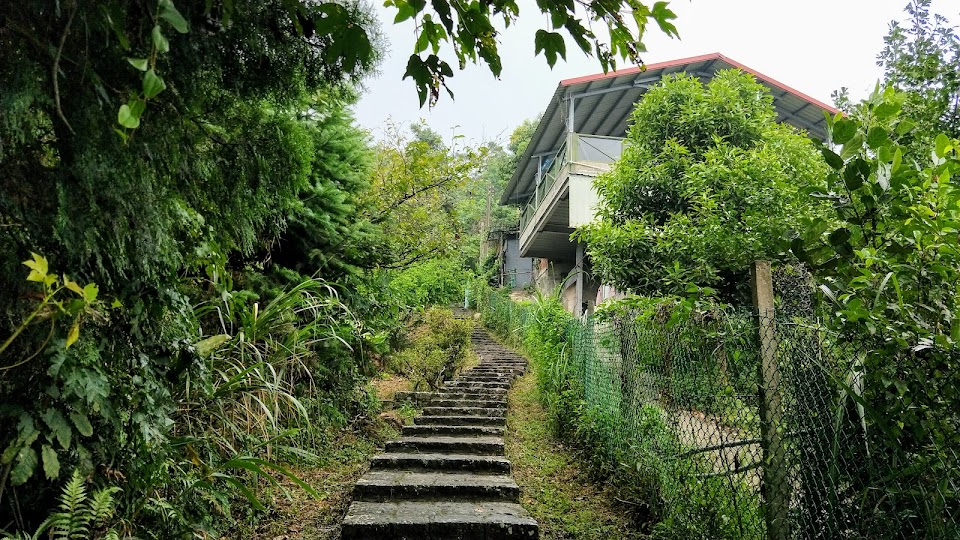 大崎棟步道|大崎棟古道 - 新竹步道|橫山步道